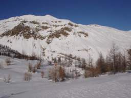081124_A_siamo in 47.JPG